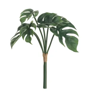 11.5" Split Leaf Philodendron Bush ST1062