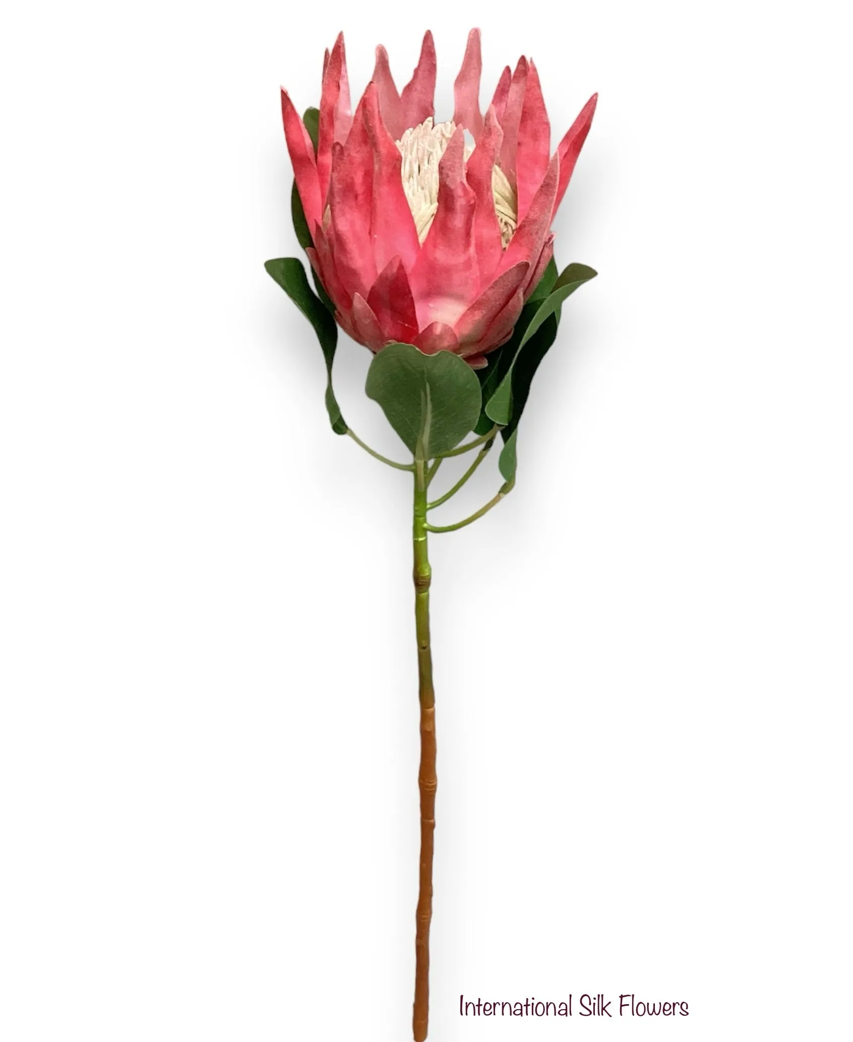 29'' King Protea Spray (FSP186-PK )