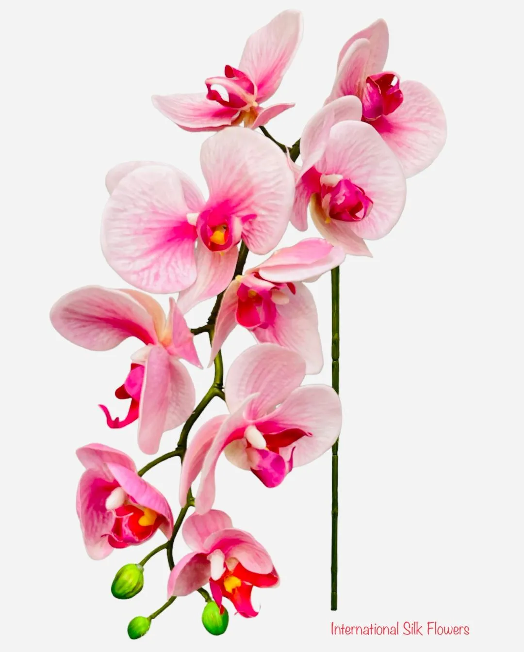 30" Real Touch Phalaenopsis Spray ( FSO173-PK/RB )