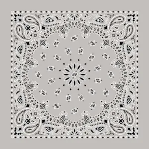 BD2502 Bandana Paisley Silver