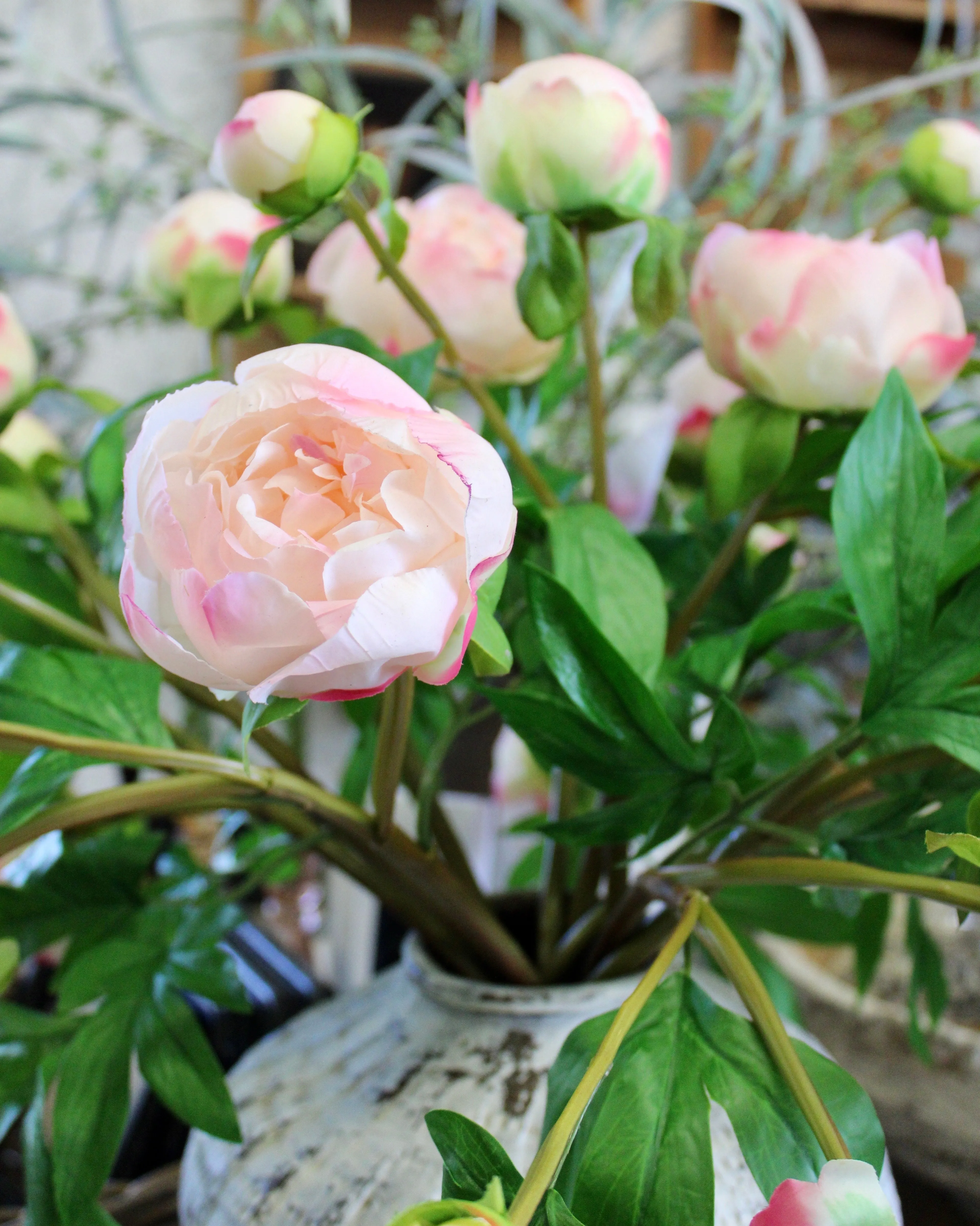 Blush Peony Bud Spray